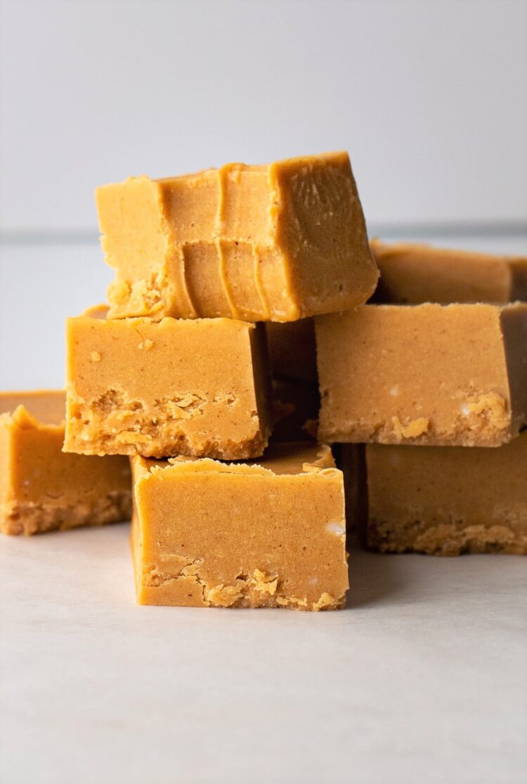 The indulgent flavors in this fudge make it incredibly hard to believe its healthy... but it is!